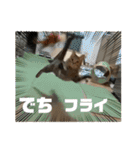 デチデチ音頭（個別スタンプ：18）
