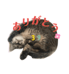 デチデチ音頭（個別スタンプ：20）