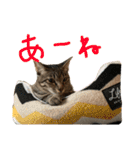 デチデチ音頭（個別スタンプ：30）
