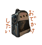 デチデチ音頭（個別スタンプ：33）