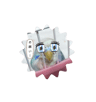 セキセイインコのキョロちゃん（個別スタンプ：4）