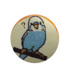 セキセイインコのキョロちゃん（個別スタンプ：13）