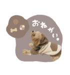 ♡るぅちゃん（個別スタンプ：12）