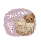 ♡るぅちゃん（個別スタンプ：13）