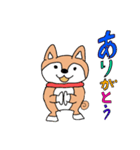 人間みたいな犬1（個別スタンプ：10）