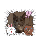 子猫ルルちゃん探検隊（個別スタンプ：5）