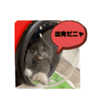 子猫ルルちゃん探検隊（個別スタンプ：34）