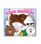 プードル犬マロン2（個別スタンプ：5）