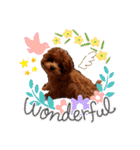 プードル犬マロン2（個別スタンプ：6）