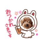 プードル犬マロン2（個別スタンプ：7）