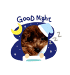 プードル犬マロン2（個別スタンプ：9）
