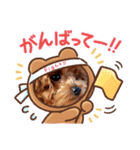 プードル犬マロン2（個別スタンプ：15）