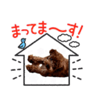 プードル犬マロン2（個別スタンプ：18）