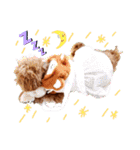 プードル犬マロン2（個別スタンプ：27）