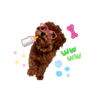 プードル犬マロン2（個別スタンプ：30）