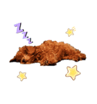 プードル犬マロン2（個別スタンプ：36）
