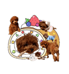 プードル犬マロン2（個別スタンプ：40）