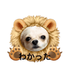 シェリの顔（個別スタンプ：2）
