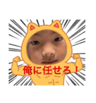 いちかわファミリー（個別スタンプ：6）