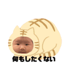 いちかわファミリー（個別スタンプ：16）