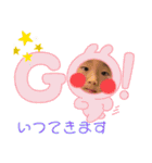 いちかわファミリー（個別スタンプ：23）