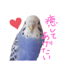 すけとかく7（個別スタンプ：1）