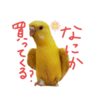 すけとかく7（個別スタンプ：3）