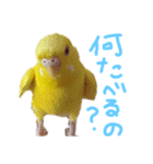 すけとかく7（個別スタンプ：5）