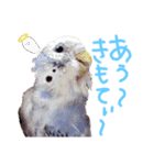 すけとかく7（個別スタンプ：6）