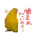 すけとかく7（個別スタンプ：7）