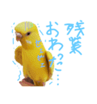 すけとかく7（個別スタンプ：10）