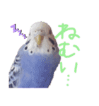 すけとかく7（個別スタンプ：14）