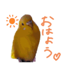 すけとかく7（個別スタンプ：18）