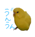 すけとかく7（個別スタンプ：19）