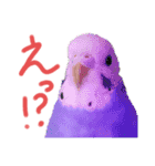 すけとかく7（個別スタンプ：20）