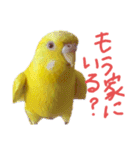 すけとかく7（個別スタンプ：21）