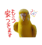 すけとかく7（個別スタンプ：22）