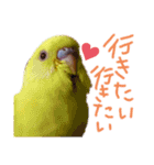 すけとかく7（個別スタンプ：23）