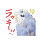 すけとかく7（個別スタンプ：24）