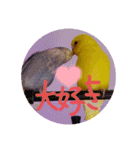 すけとかく7（個別スタンプ：25）