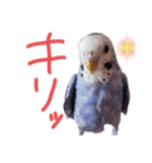 すけとかく7（個別スタンプ：32）