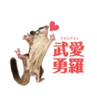 ヤンキー上等（個別スタンプ：1）