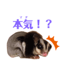 ヤンキー上等（個別スタンプ：3）