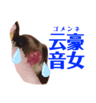 ヤンキー上等（個別スタンプ：5）