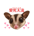 ヤンキー上等（個別スタンプ：7）