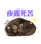 ヤンキー上等（個別スタンプ：8）
