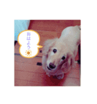 ルーくん♡♡（個別スタンプ：3）