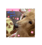 ルーくん♡♡（個別スタンプ：5）
