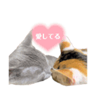 ありしゃ＆じぇら＆ふぃーろ＆いろいろ（個別スタンプ：4）