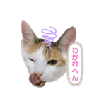 ありしゃ＆じぇら＆ふぃーろ＆いろいろ（個別スタンプ：6）
